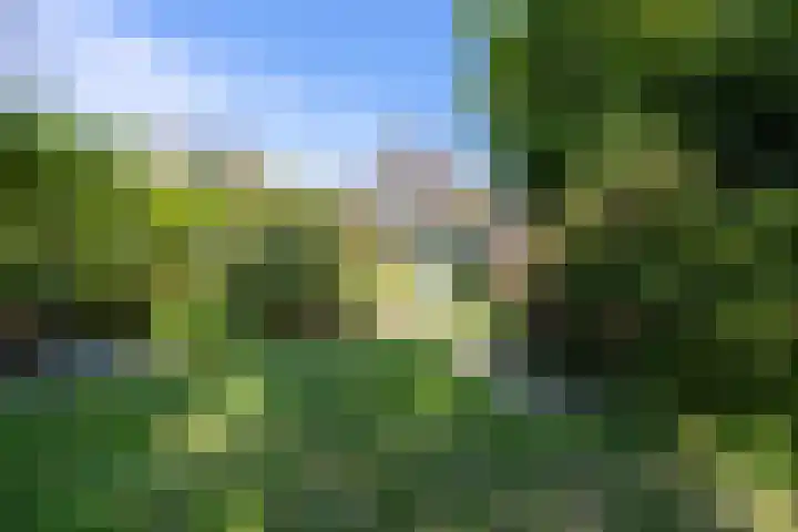 Kennemerbeekweg 14 Hillegom thumbnail 22