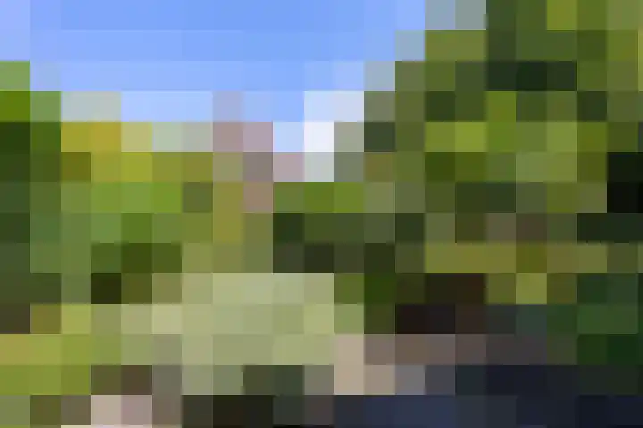 Kennemerbeekweg 14 Hillegom thumbnail 23
