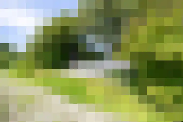 Kennemerbeekweg 14 Hillegom thumbnail 24