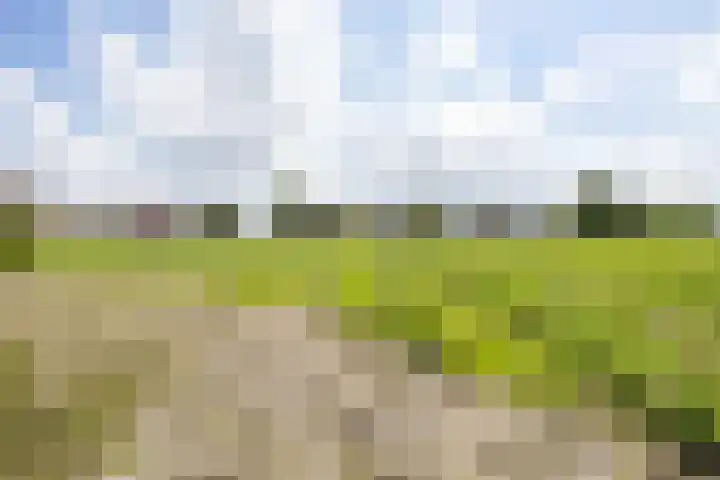 Kennemerbeekweg 14 Hillegom thumbnail 25