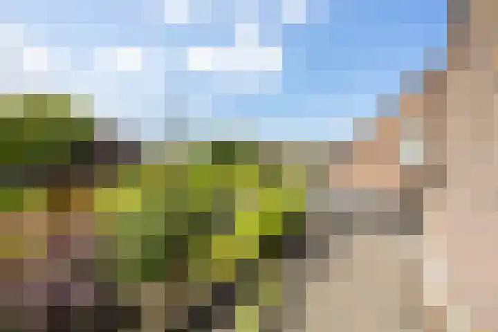 Kennemerbeekweg 14 Hillegom thumbnail 39