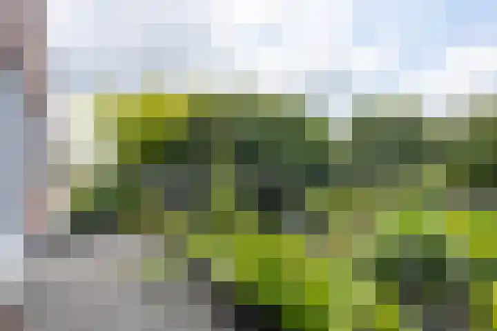 Kennemerbeekweg 14 Hillegom thumbnail 40