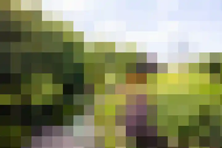 Kennemerbeekweg 14 Hillegom thumbnail 41