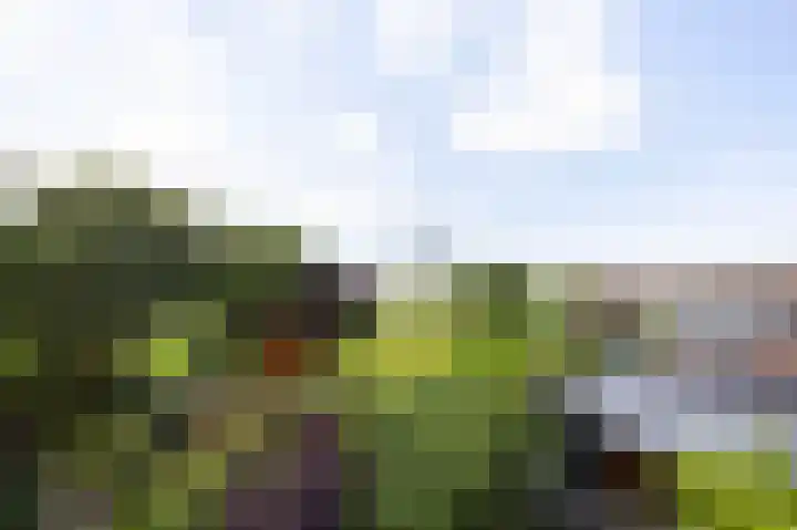 Kennemerbeekweg 14 Hillegom thumbnail 42