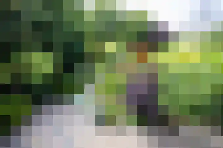 Kennemerbeekweg 14 Hillegom thumbnail 43