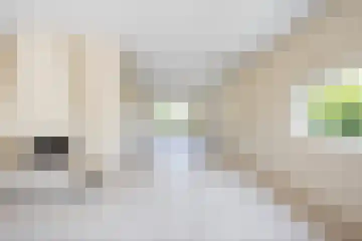 Kennemerbeekweg 14 Hillegom thumbnail 9