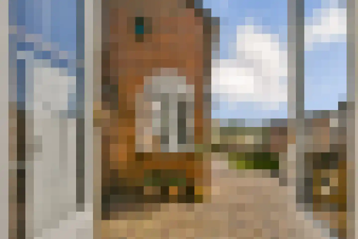 Kennemerbeekweg 2 A Hillegom thumbnail 16