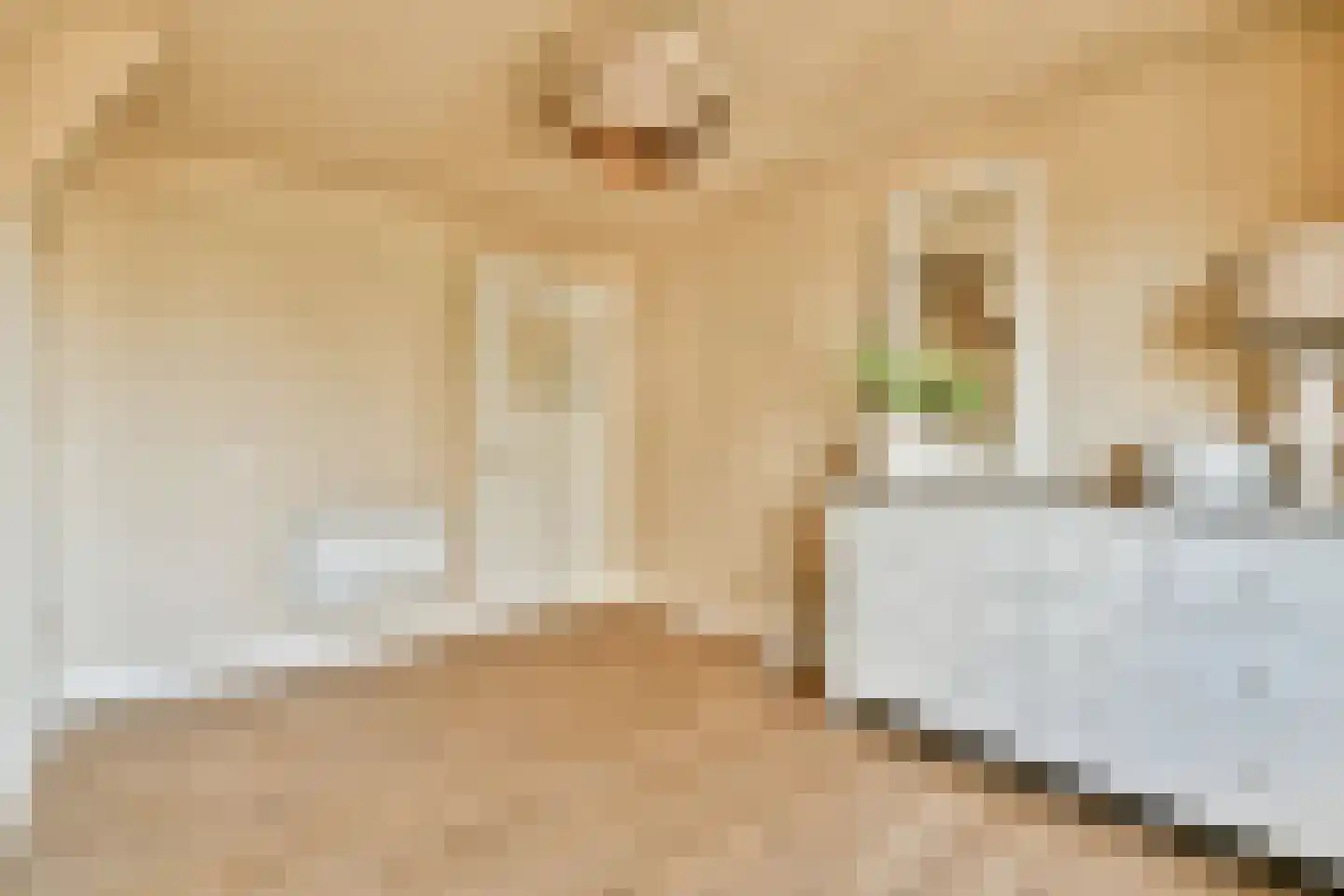Kennemerbeekweg 2 A Hillegom thumbnail 29