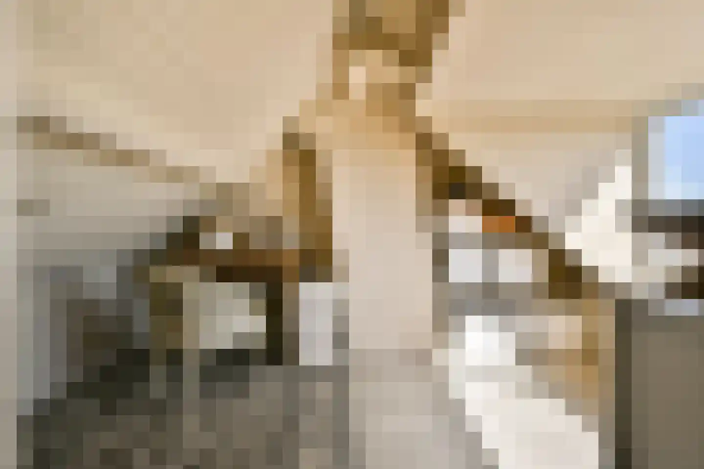 Kennemerbeekweg 2 A Hillegom thumbnail 38