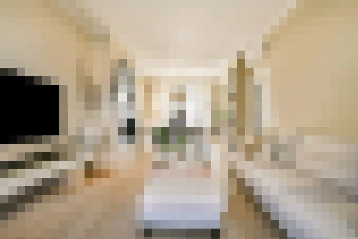 Kennemerbeekweg 2 A Hillegom thumbnail 9