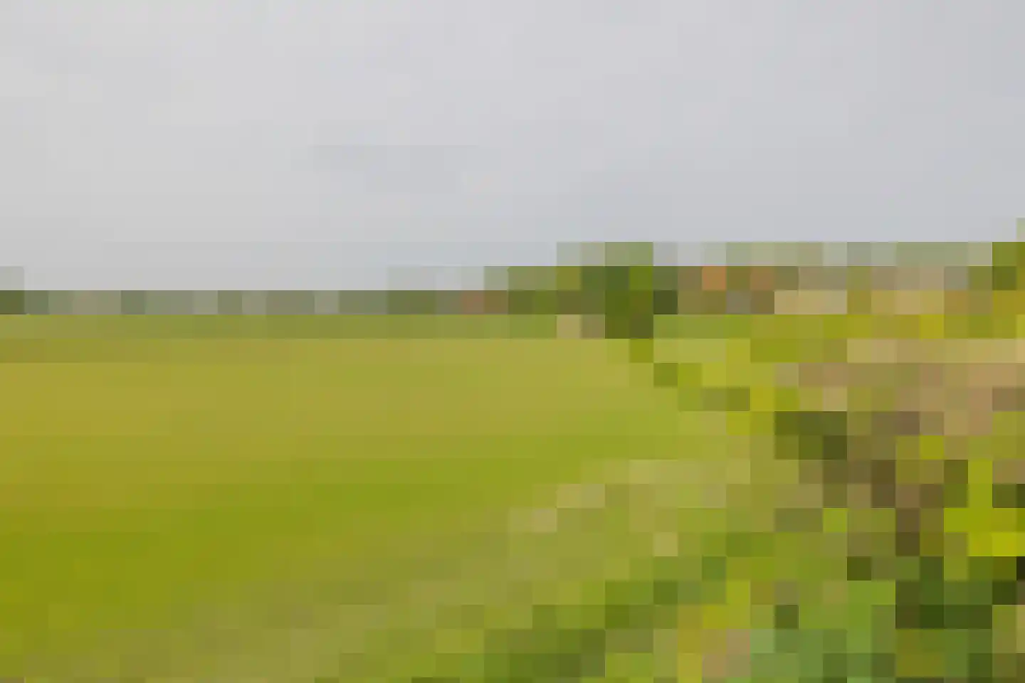 Kennemerbeekweg 23 Bennebroek thumbnail 45
