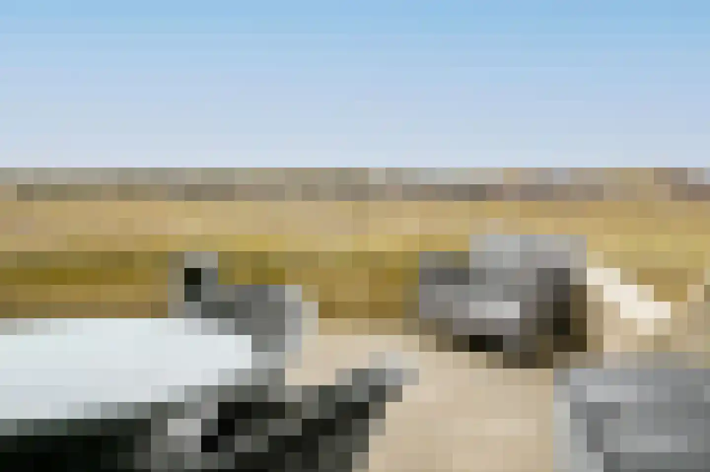 Kennemerboulevard 615 IJmuiden thumbnail 21
