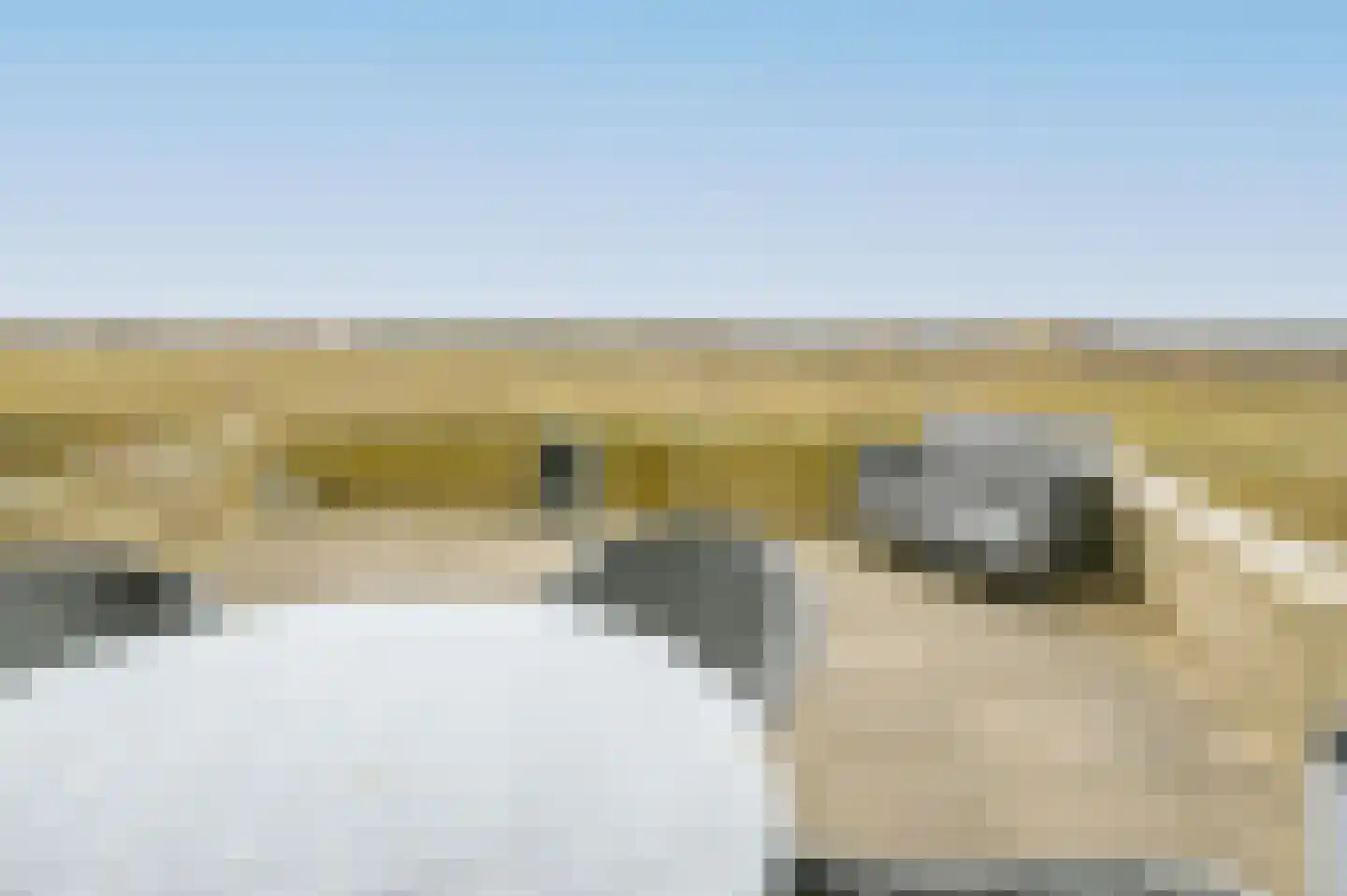 Kennemerboulevard 615 IJmuiden thumbnail 22