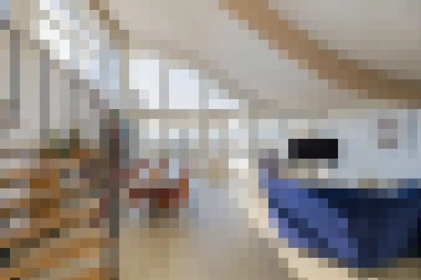 Kennemerboulevard 677 IJmuiden thumbnail 16