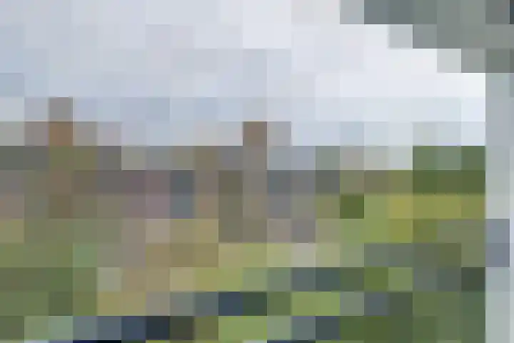 Kennemerduinstraat 27 Amsterdam thumbnail 29
