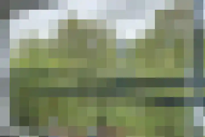 Kennemerduinstraat 27 Amsterdam thumbnail 30