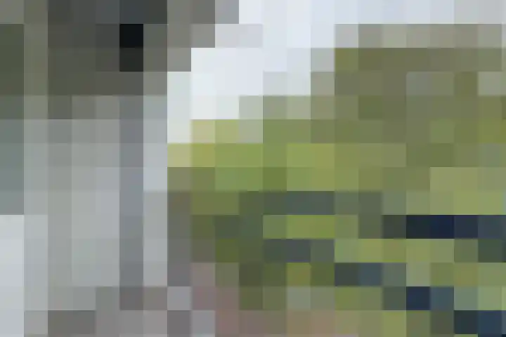 Kennemerduinstraat 27 Amsterdam thumbnail 31