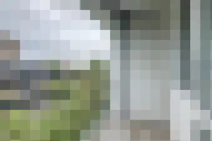 Kennemerduinstraat 27 Amsterdam thumbnail 33