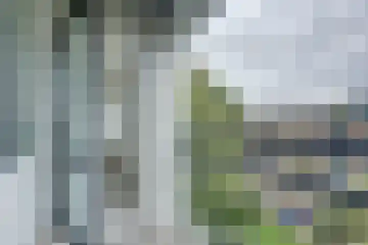 Kennemerduinstraat 27 Amsterdam thumbnail 34