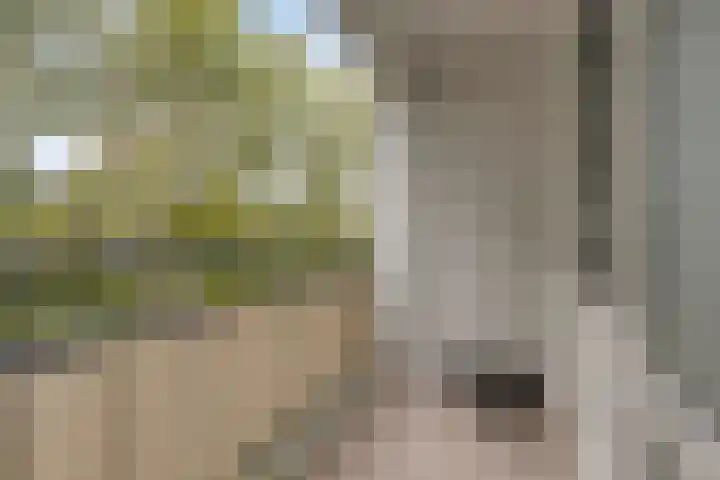 Kennemerduinstraat 8 Amsterdam thumbnail 15