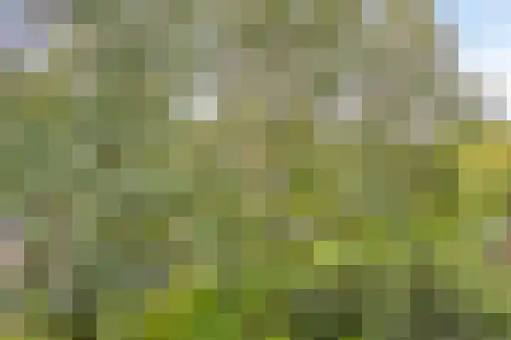 Kennemerduinstraat 8 Amsterdam thumbnail 26