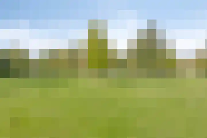 Kennemerduinstraat 8 Amsterdam thumbnail 30