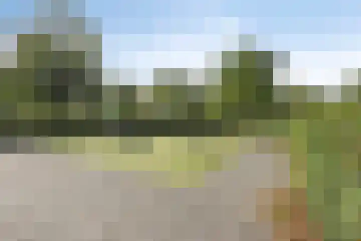 Kennemerduinstraat 8 Amsterdam thumbnail 31