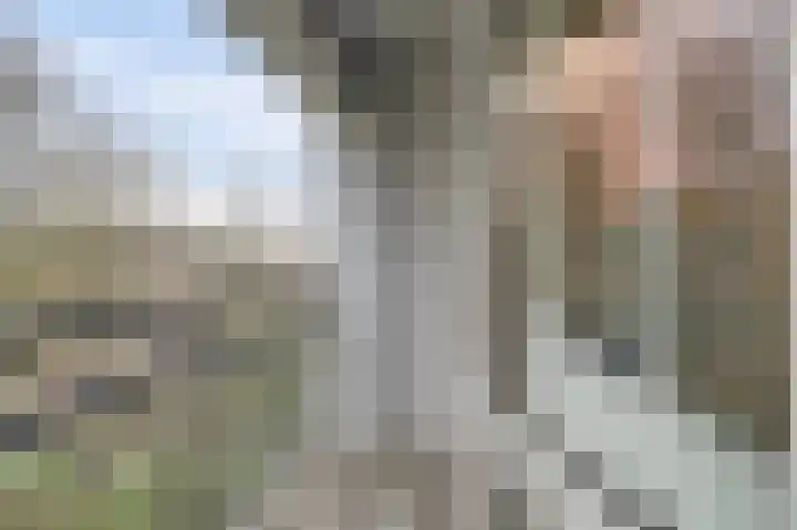 Kennemerduinstraat 9 Amsterdam thumbnail 12