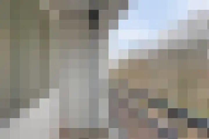 Kennemerduinstraat 9 Amsterdam thumbnail 27