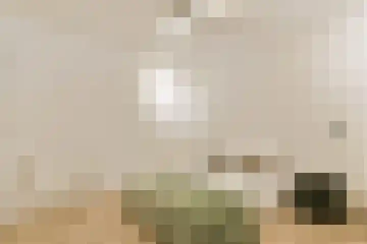 Kennemerhof 6 A Beverwijk thumbnail 6