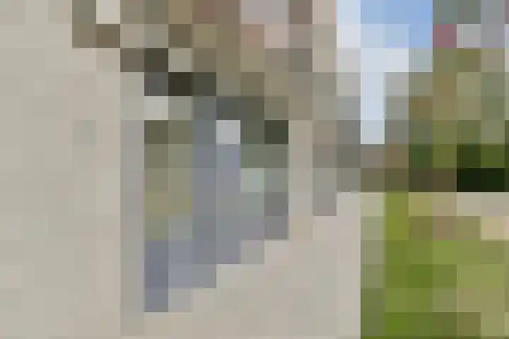Kennemerhof 6 A Beverwijk thumbnail 7