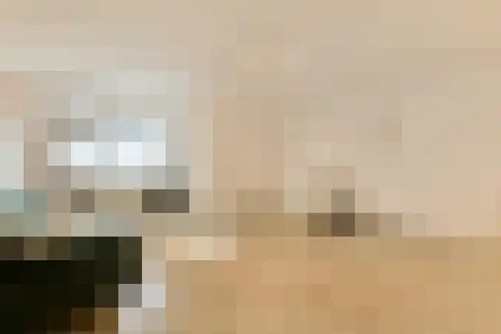 Kennemerhof 6 D Beverwijk thumbnail 4
