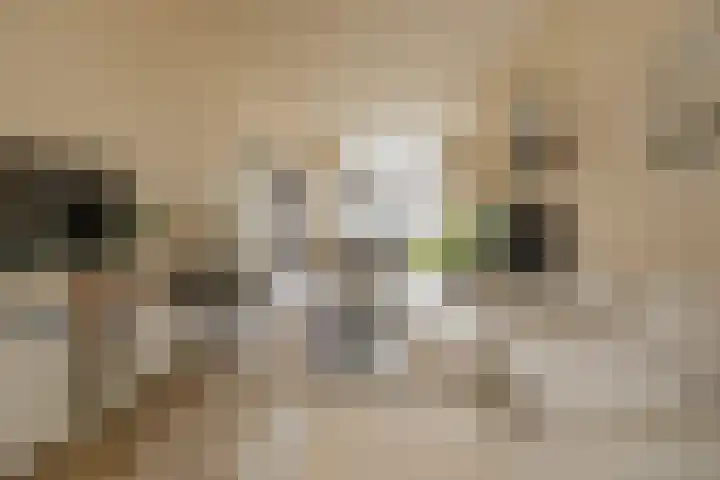 Kennemerlaan 10 IJmuiden thumbnail 16