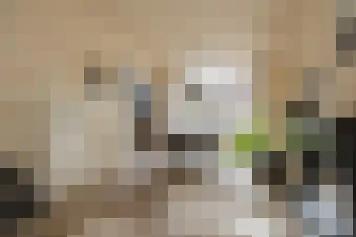 Kennemerlaan 10 IJmuiden thumbnail 17