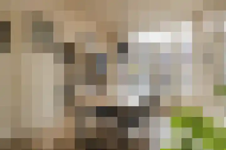 Kennemerlaan 10 IJmuiden thumbnail 18