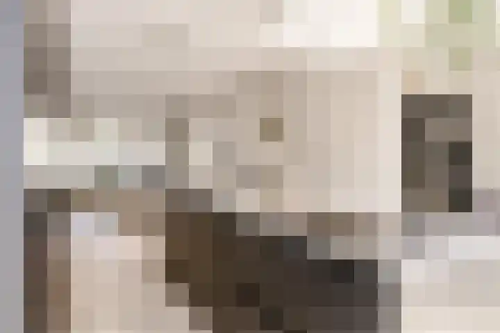 Kennemerlaan 144 IJmuiden thumbnail 18
