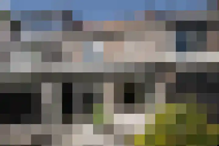 Kennemerlaan 144 IJmuiden thumbnail 27