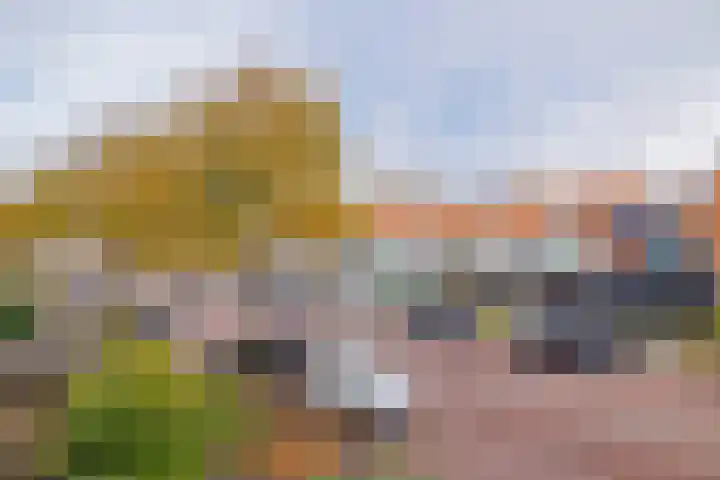 Kennemerlaan 196 IJmuiden thumbnail 35