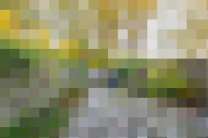 Kennemerland 167 Assen thumbnail 11