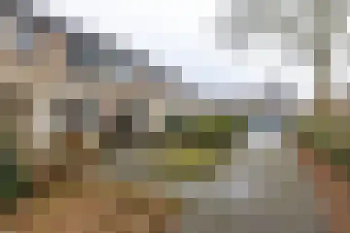 Kennemerland 169 Assen thumbnail 5