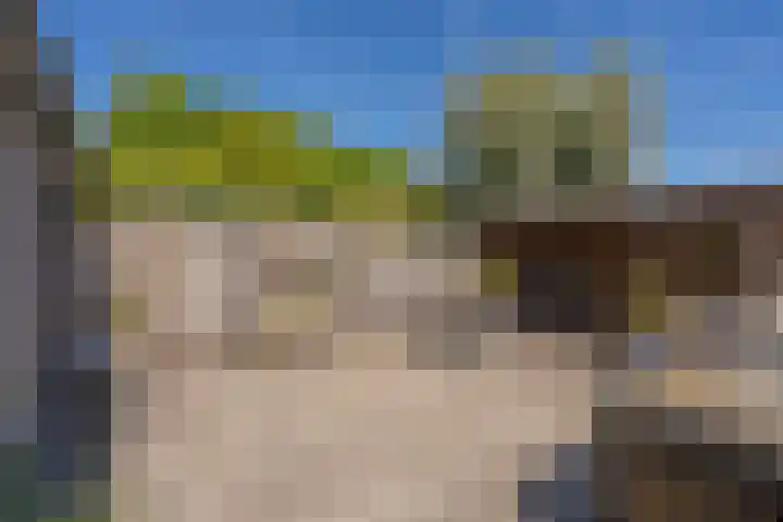 Kennemerland 34 Assen thumbnail 41
