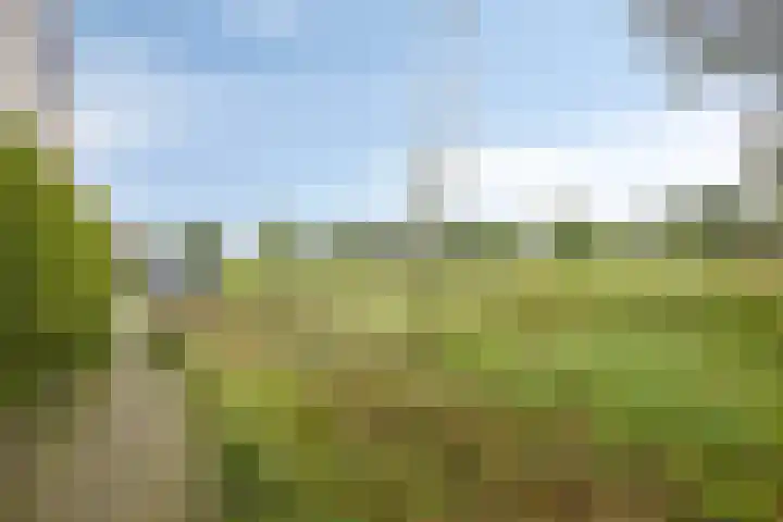 Kennemerland 69 Purmerend thumbnail 40