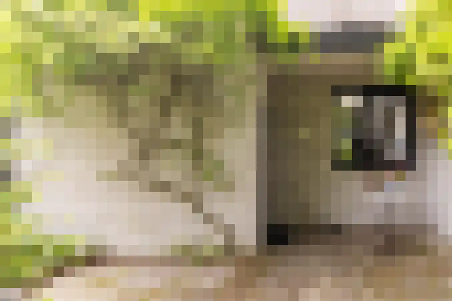 Kennemerland 9 Zoetermeer thumbnail 5
