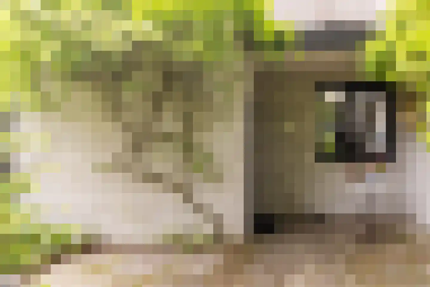 Kennemerland 9 Zoetermeer thumbnail 5