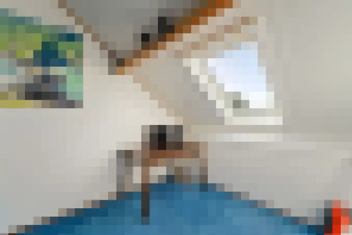 Kennemerlandlaan 48 Emmeloord thumbnail 54