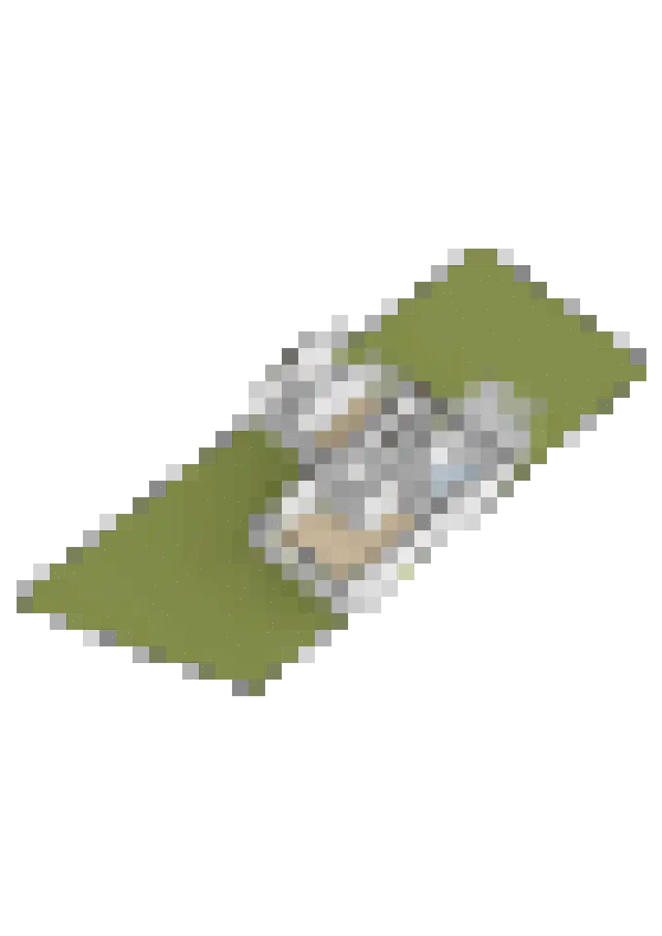 Kennemerlandlaan 48 Emmeloord thumbnail 66