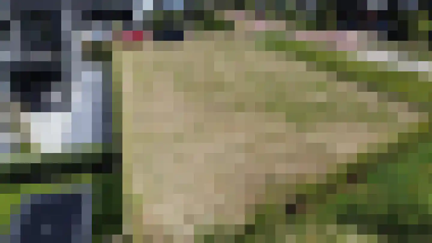 Kennemerlandrecht 1 Beverwijk thumbnail 4