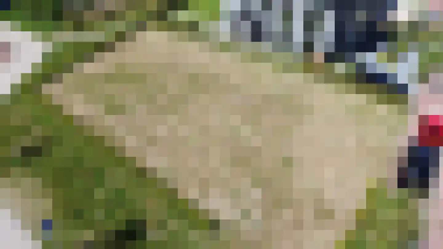 Kennemerlandrecht 1 Beverwijk thumbnail 5