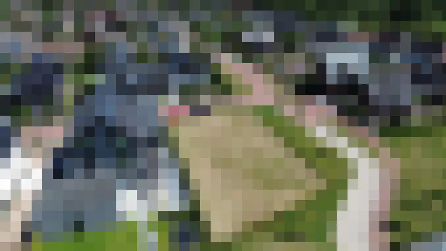 Kennemerlandrecht 1 Beverwijk thumbnail 6