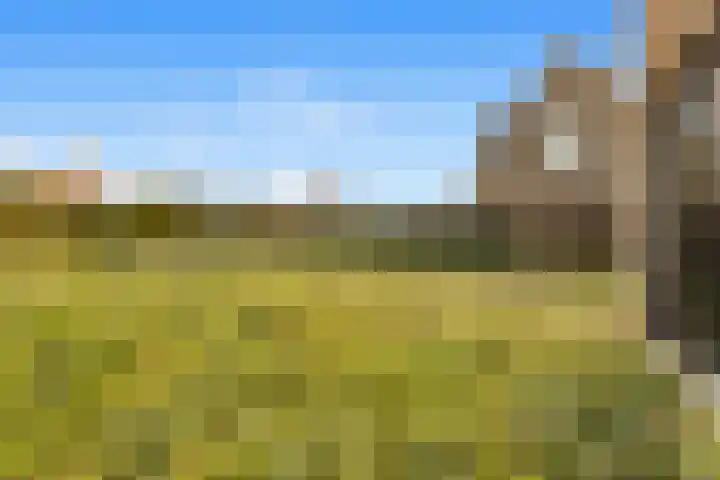 Kennemerlandrecht 22 Beverwijk thumbnail 23